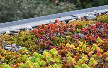 the cost of Whipcott green roof installation