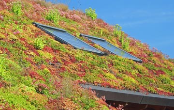 Whipcott living roof systems