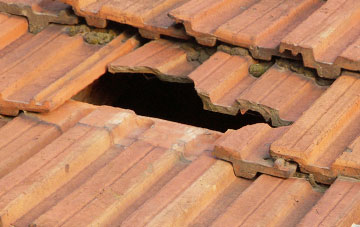 roof repair Whipcott, Devon