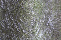 Whipcott fibreglass roof work